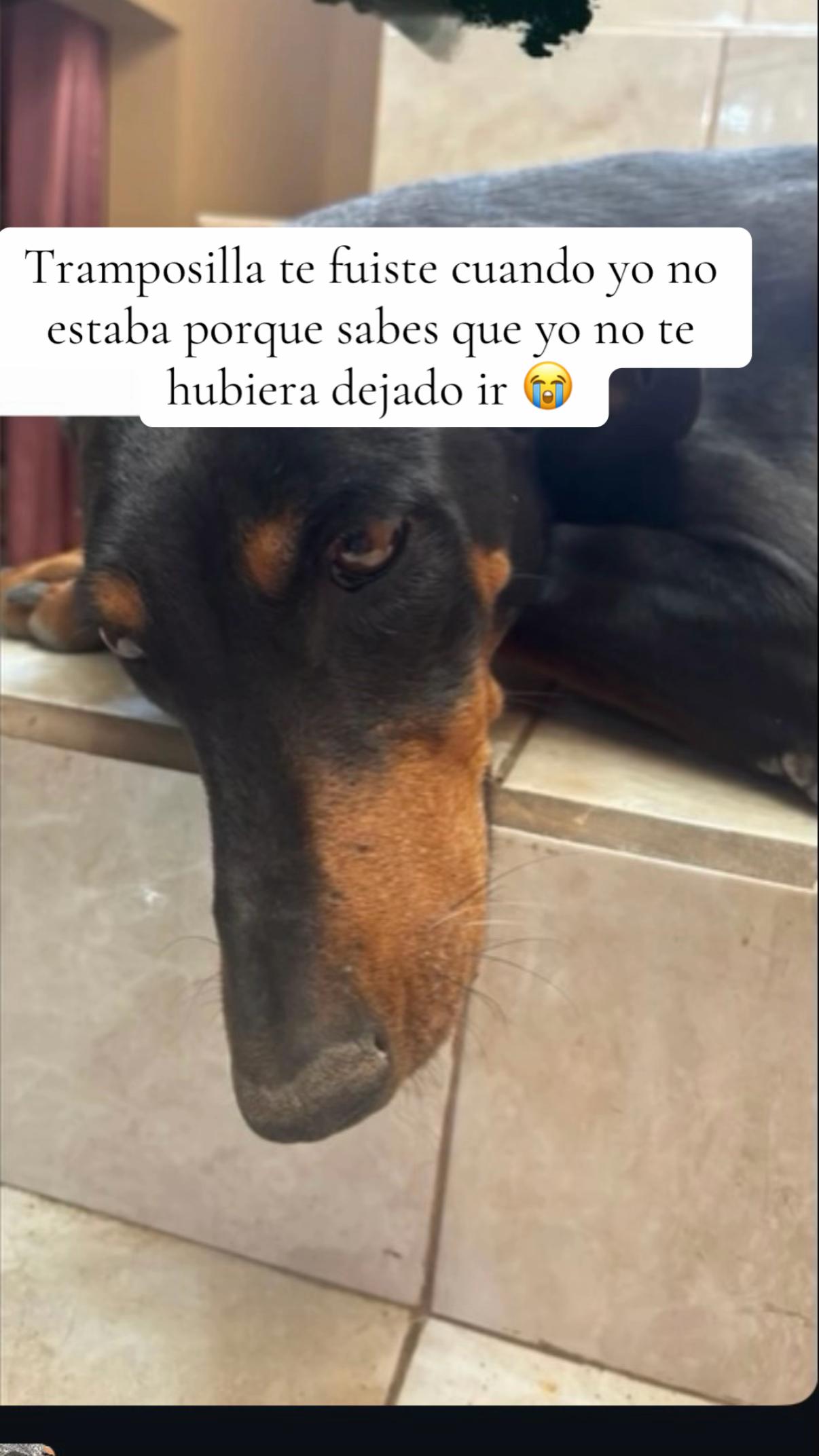 @Estefan&iacute;a Montero