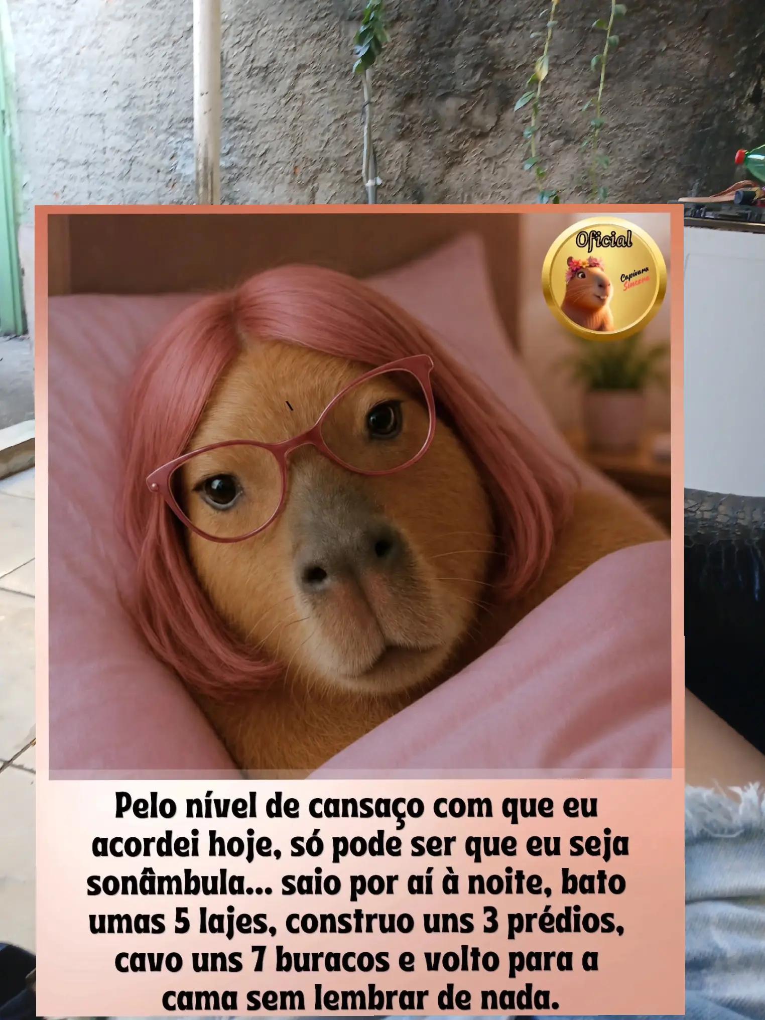 @Celiane