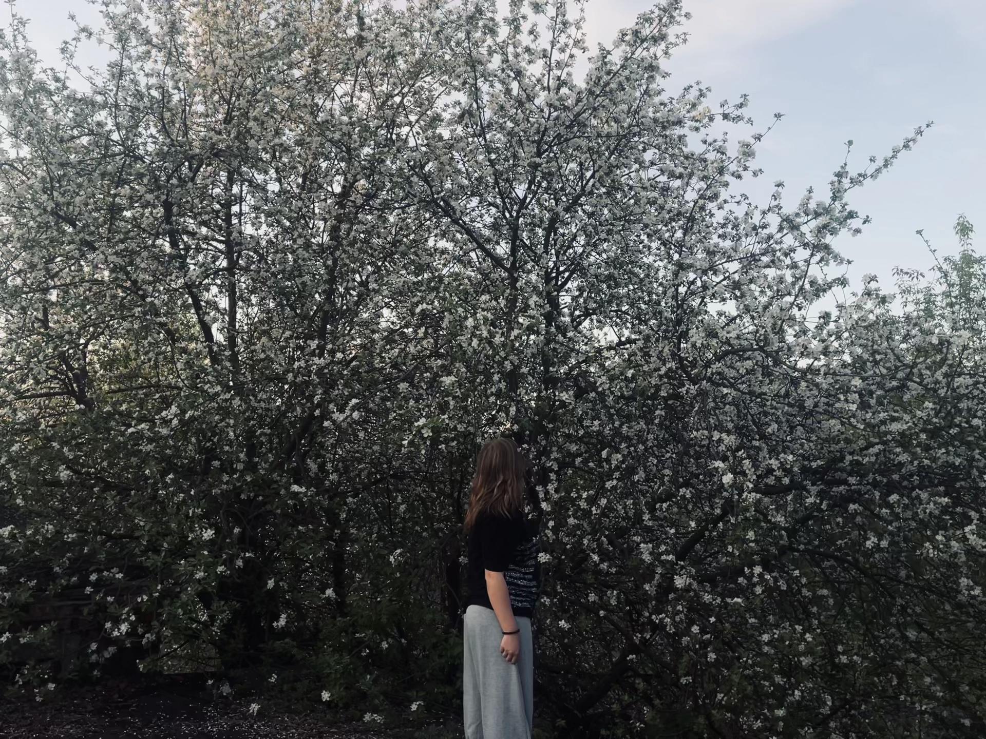 @ꫀꪉꪖ᭢᭢ỉ̉ꪗ ᦔꪖꪊ᭢