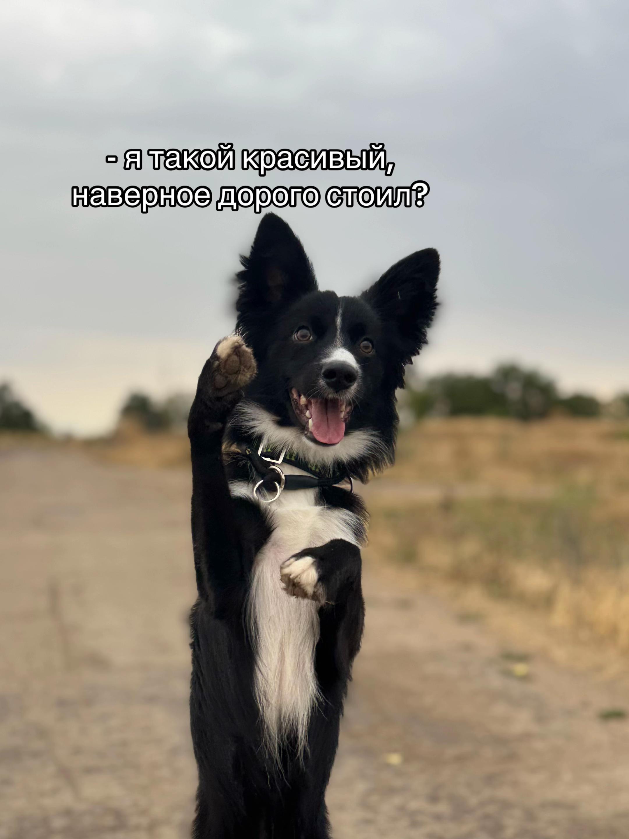 @𝗞𝗮𝗶🐊