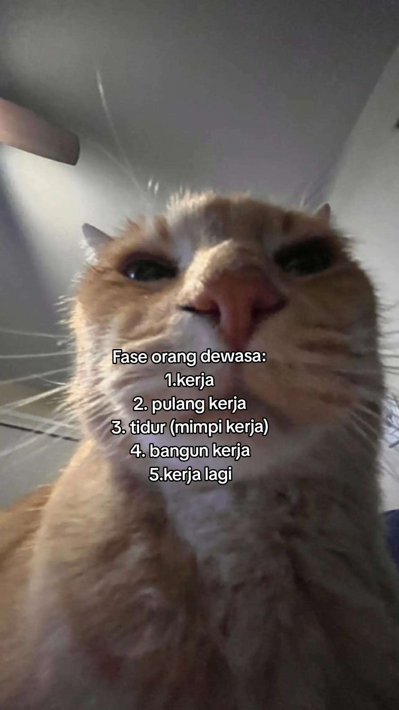 @M A N
