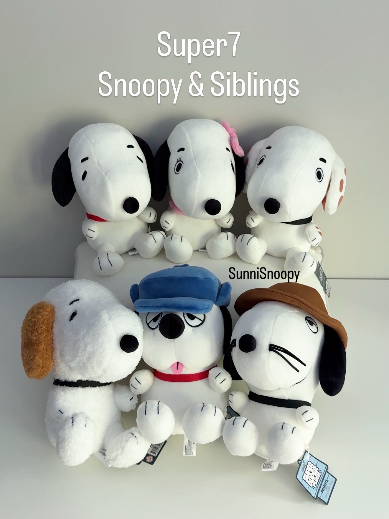 @SunniSnoopy | PEANUTS