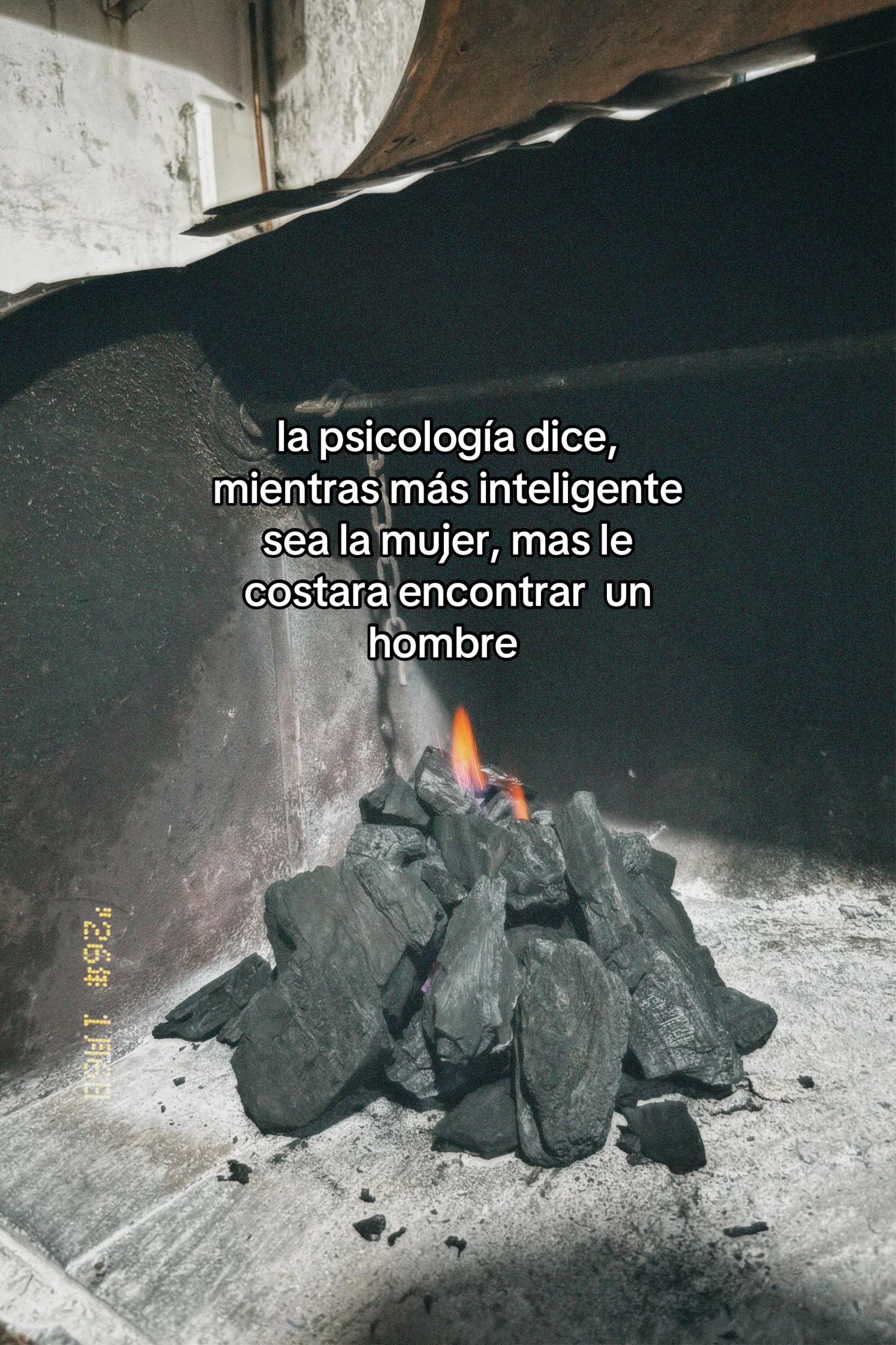 @Josee🩶