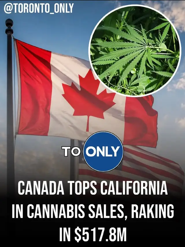 @Jordan🇨🇦