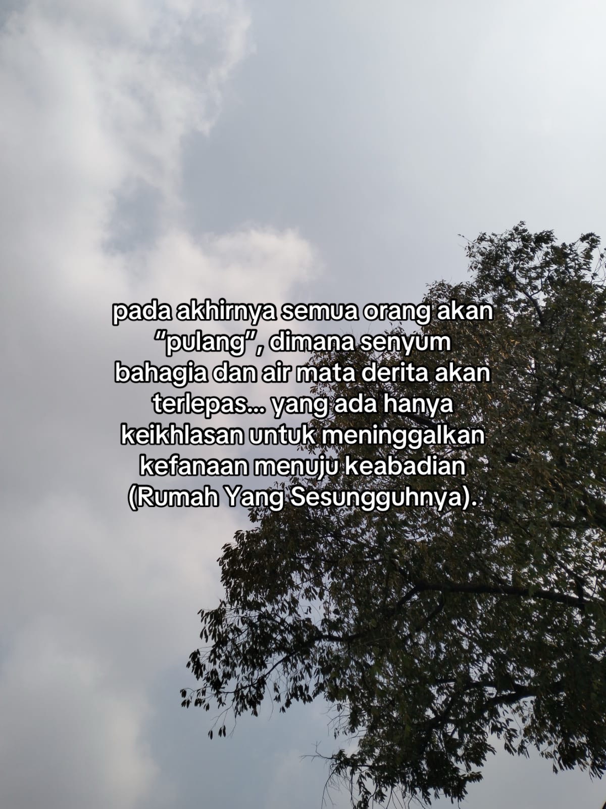 @saka