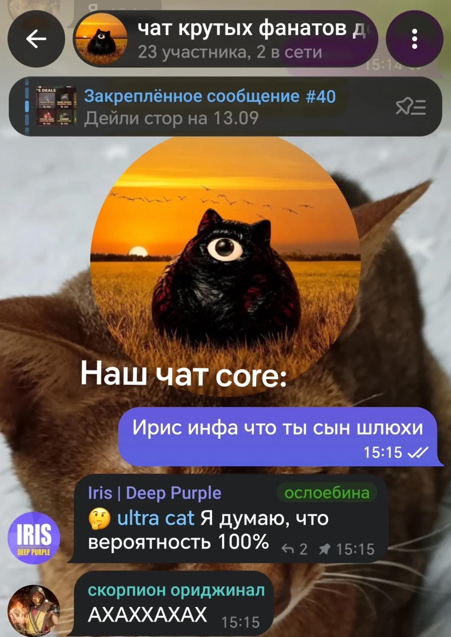 @kiselek