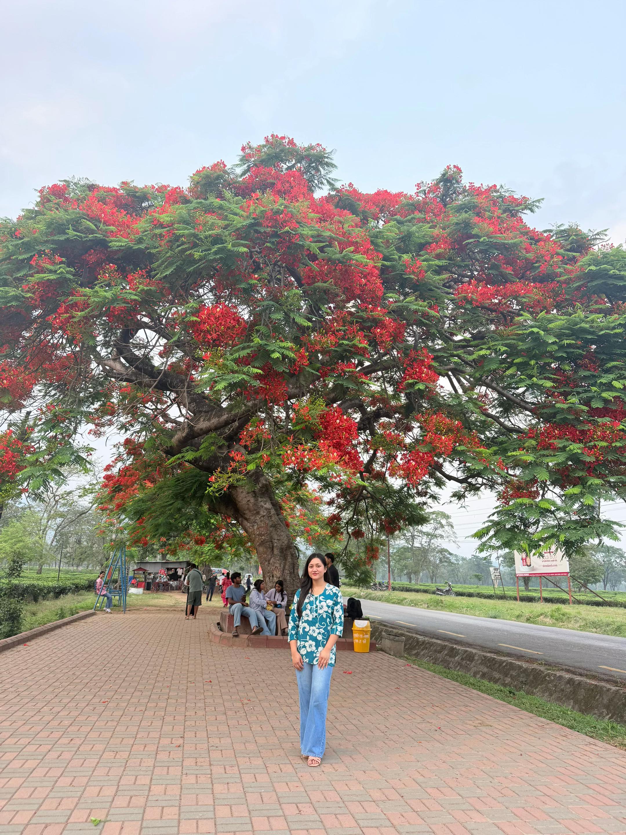 @Aakanksha🌸