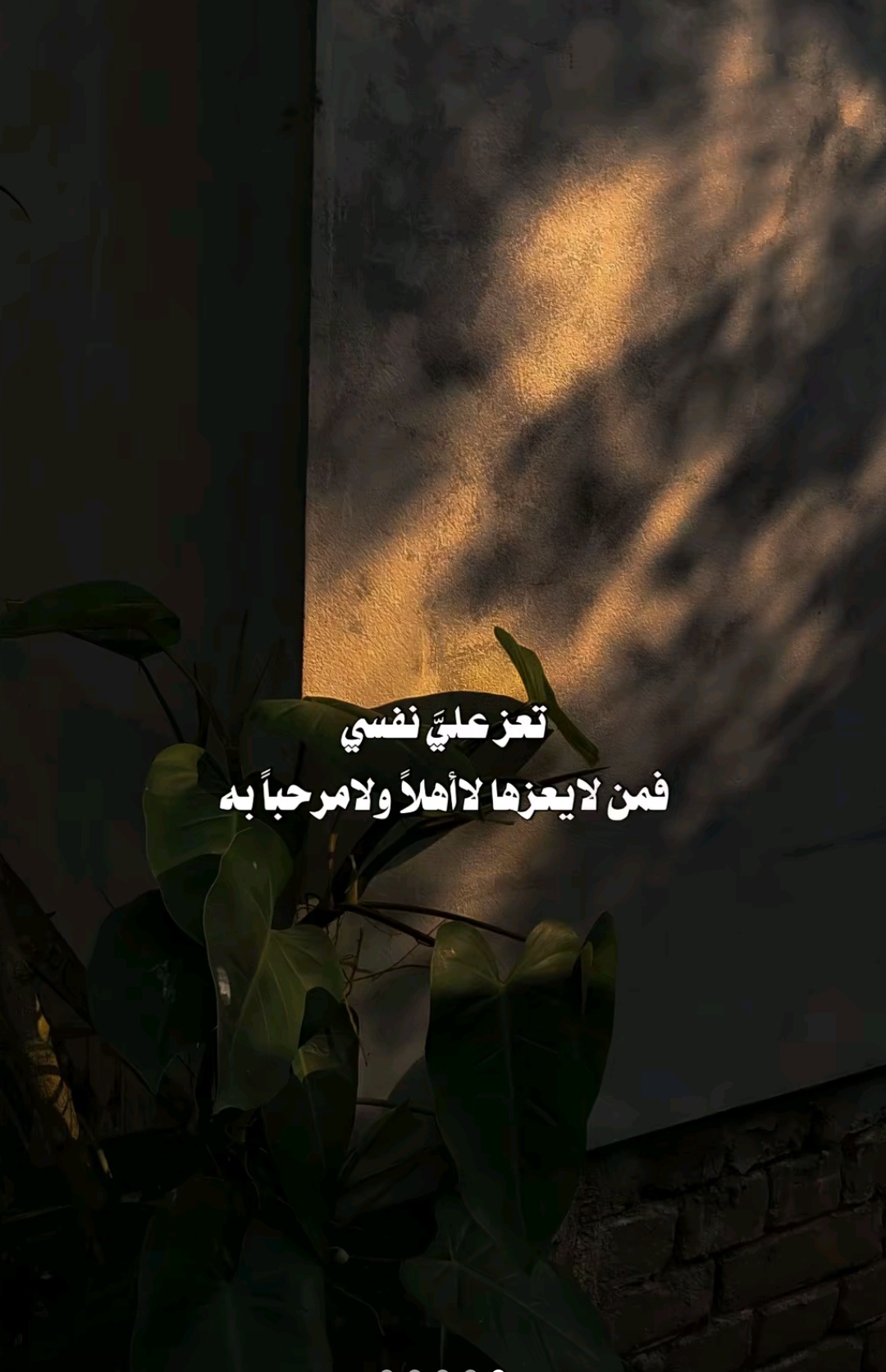 @سطايفي مريول