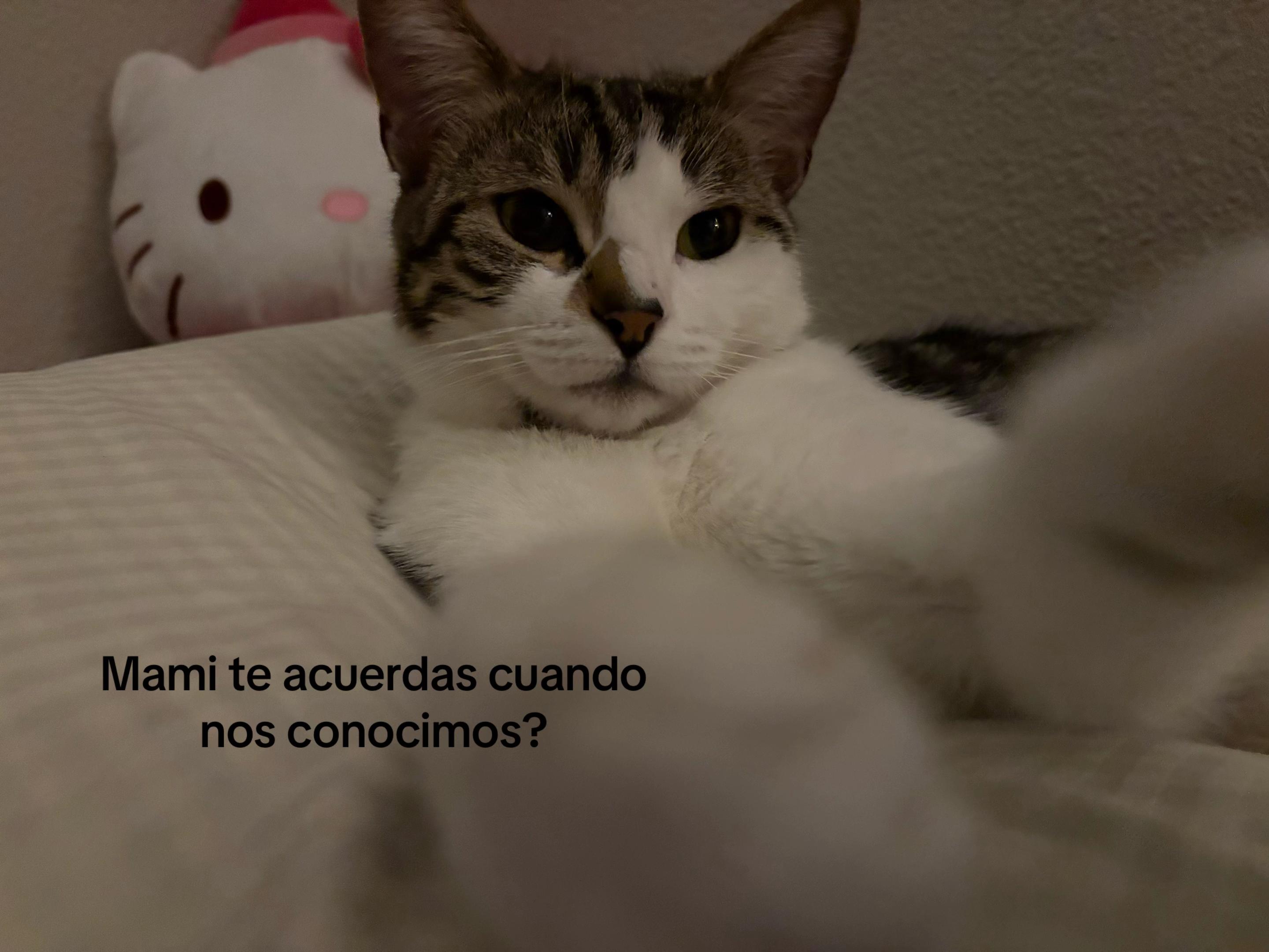 @𝒫𝒶𝓊𝓁𝒶