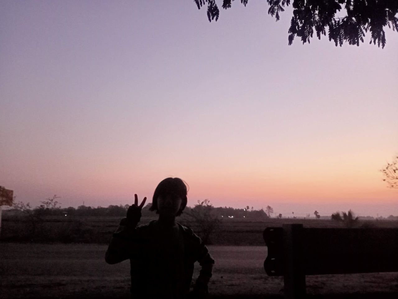 @Ace-ji
