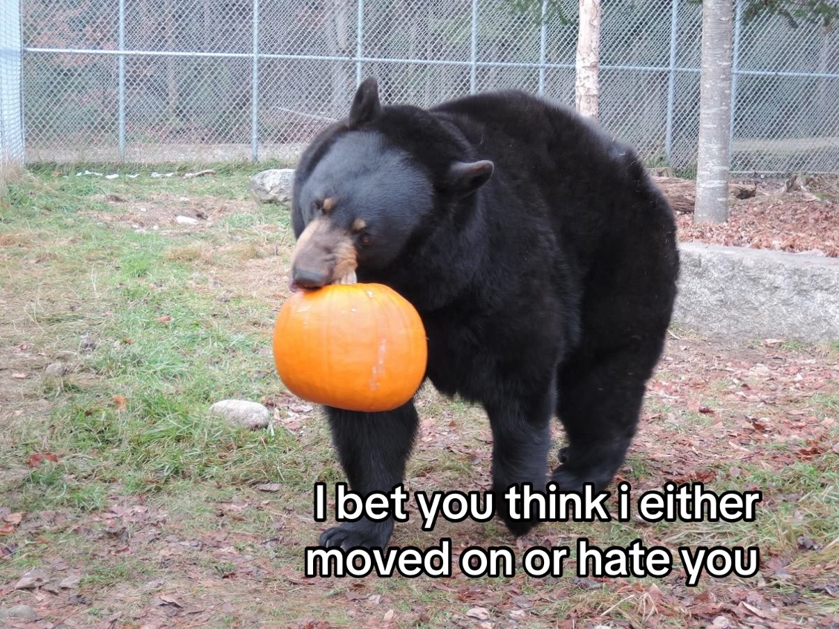 @🦭