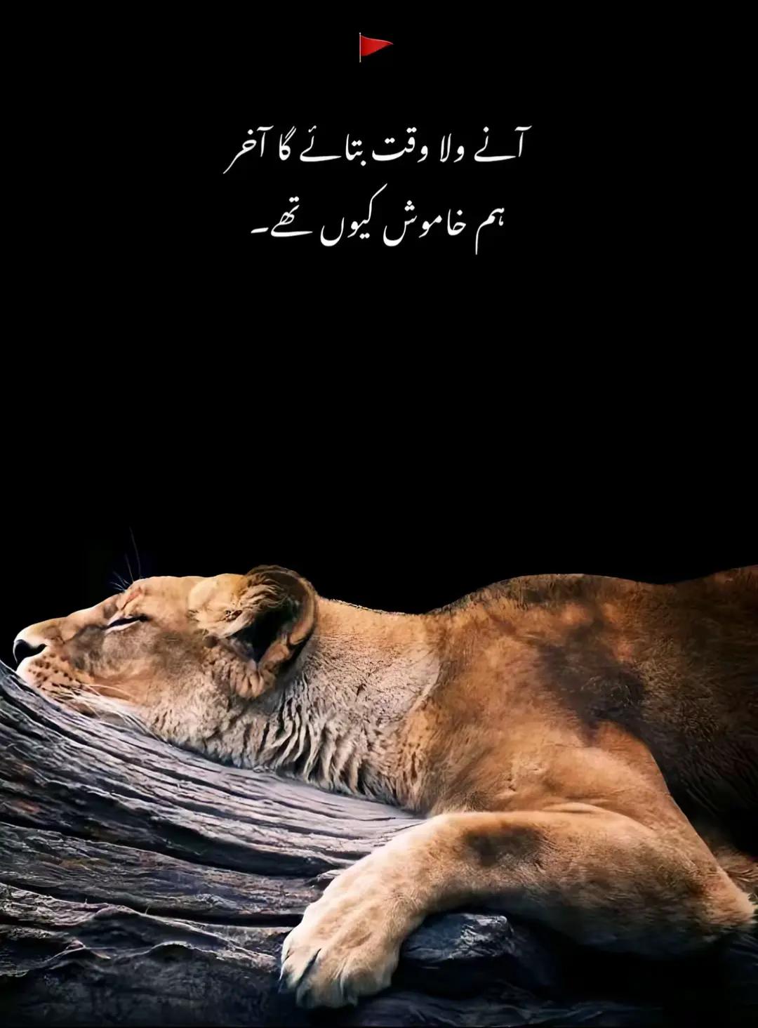@سیکندر راجپوت👑🦅