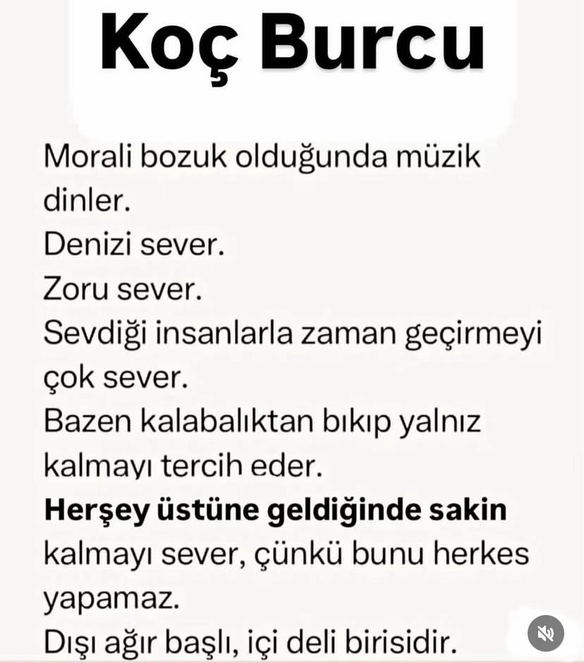 @kocburcu6
