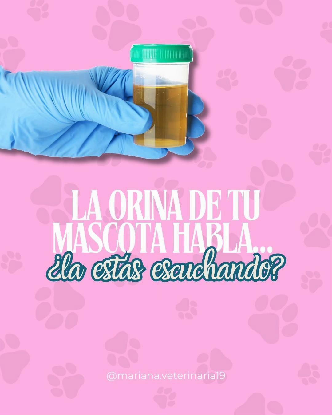 @Mariana Parra