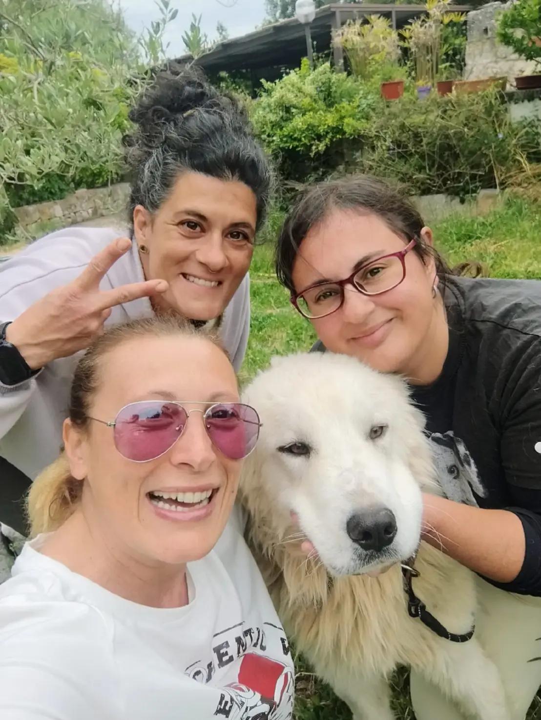@SOS ADOZIONI4ZAMPE ONLUS