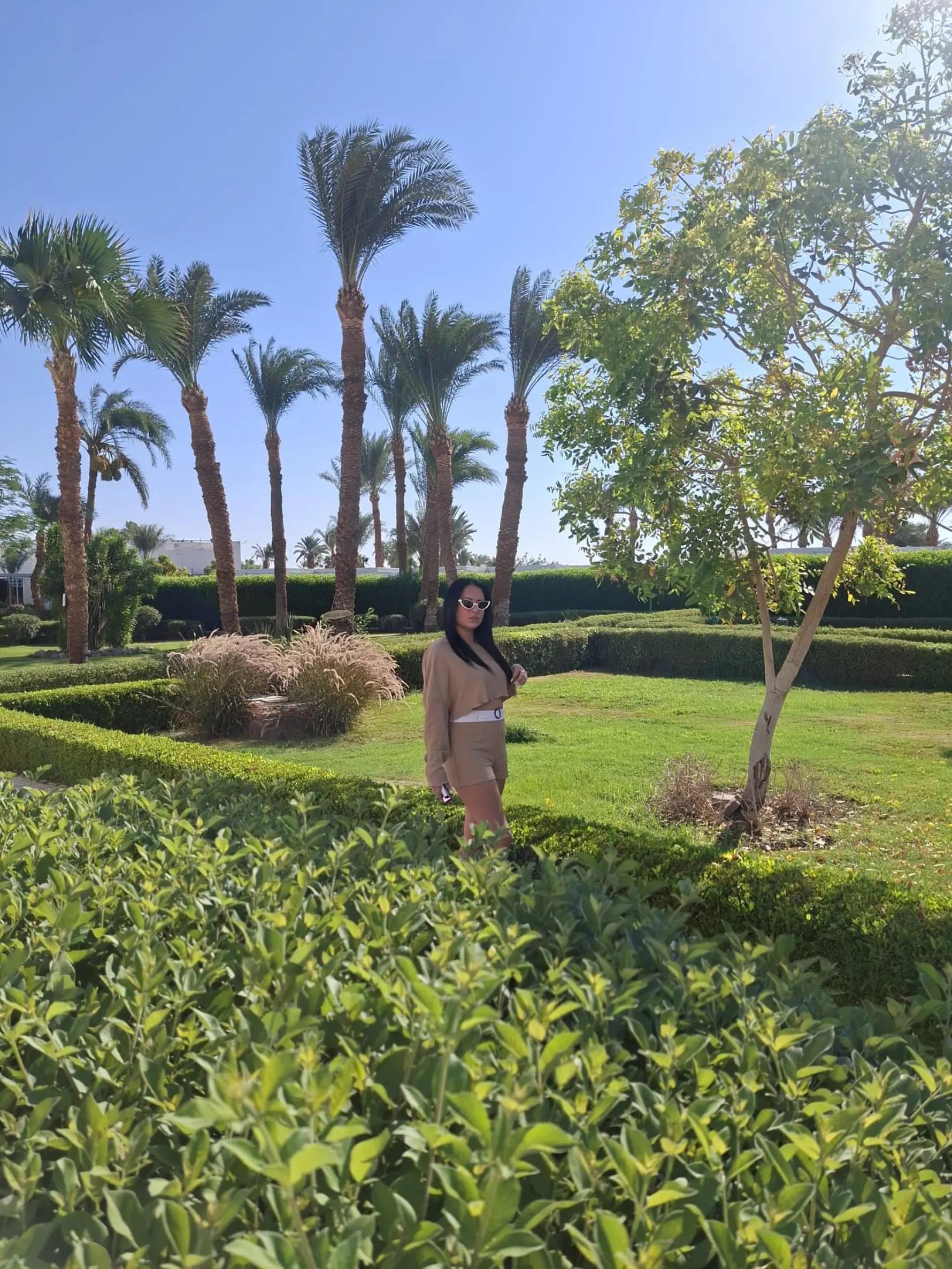 @Aurora Cristina