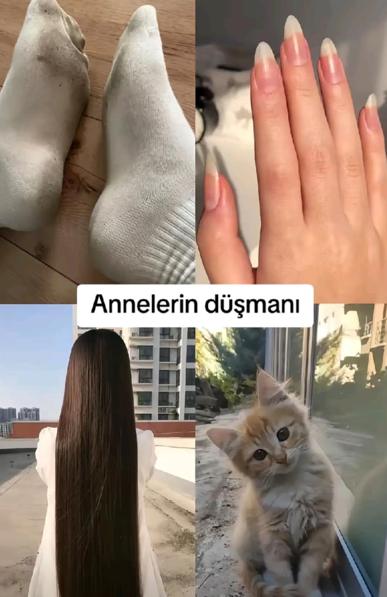 @Sahra Arslan_🐅🇹🇷