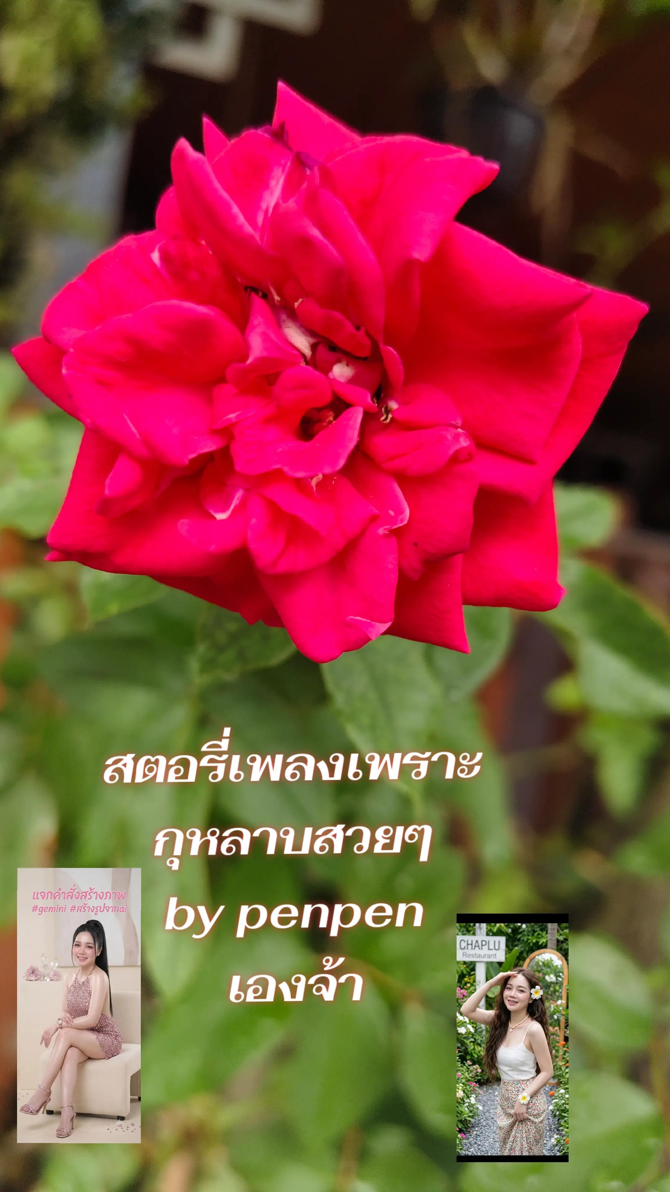 @penpen