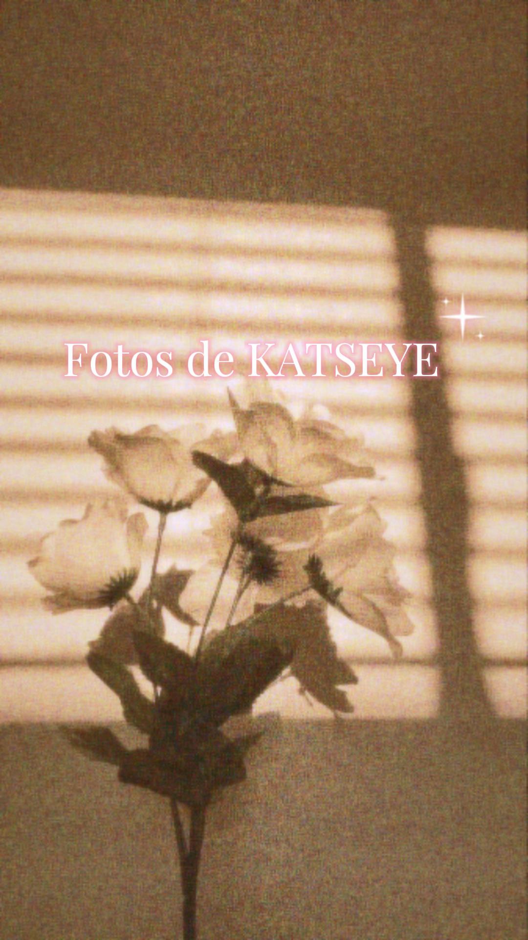 @💍🥀🪓⋆DΛNIΞLΛ⋆🪓🥀💍