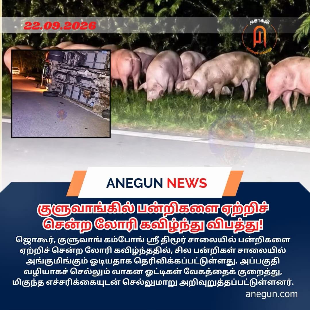 @AnegunNews