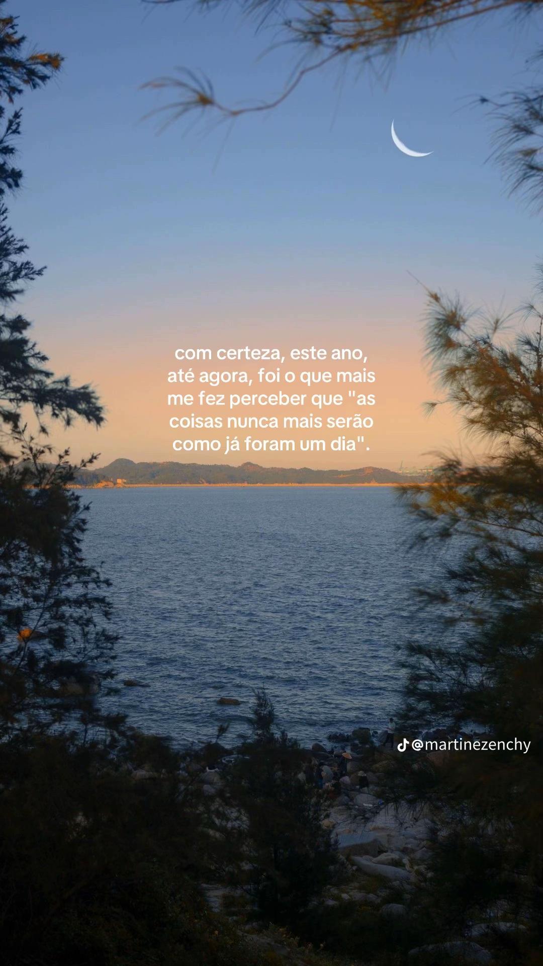 @aline zanette