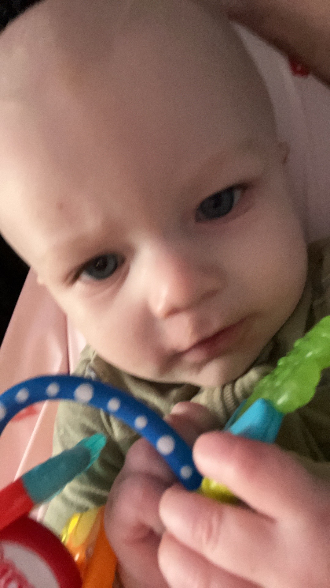 @bruce’s mama🩵