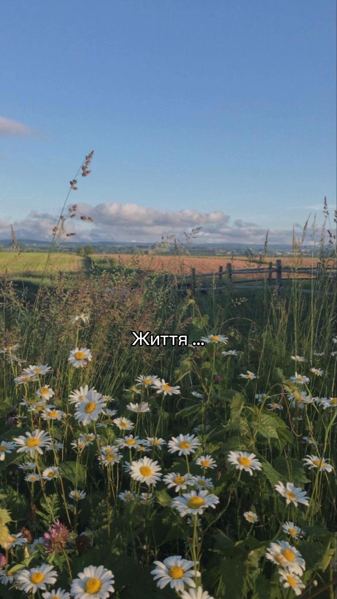 @Serotywb