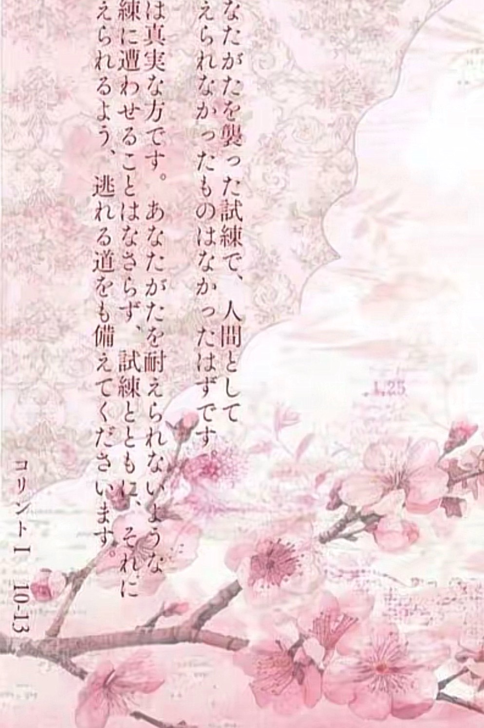 @𝐀𝐧𝐧🪽