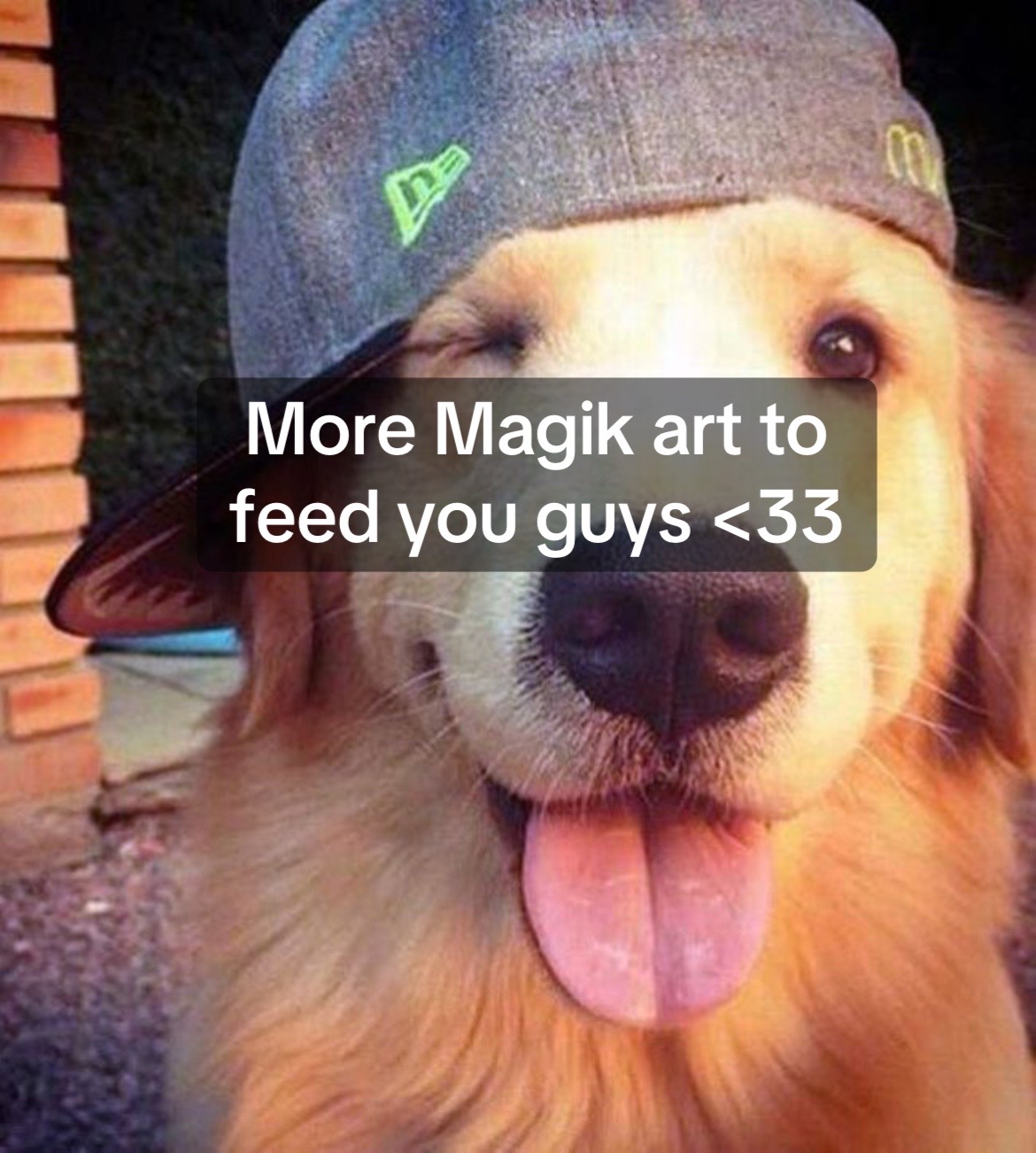 @Tabby Ⓧ