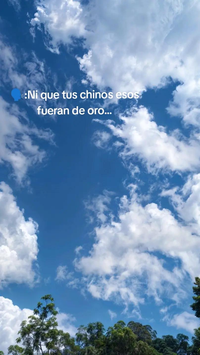 @Jenny oficial