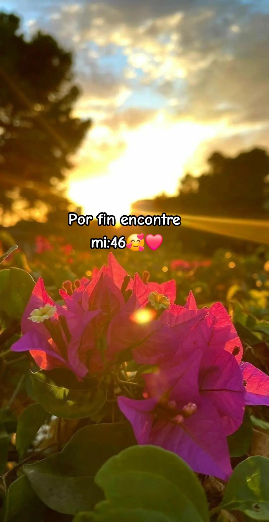 @𝓘𝓿𝓮𝓽𝓽 ..🍉🤍