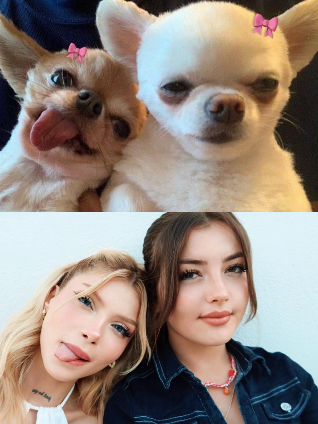 @Ayşegül