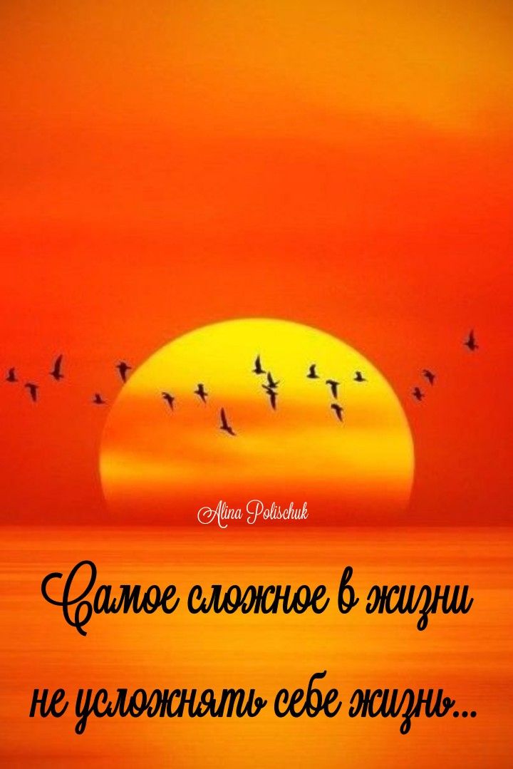 @Ludmila B