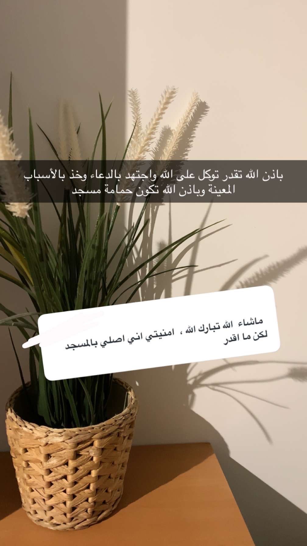 @بندريات