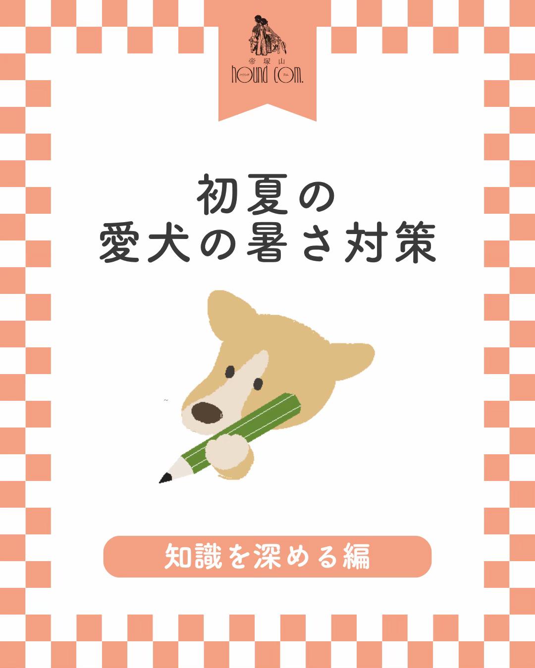 @帝塚山ハウンドカム