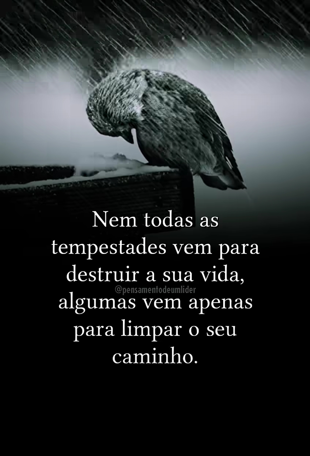 @Gilson Monteiro