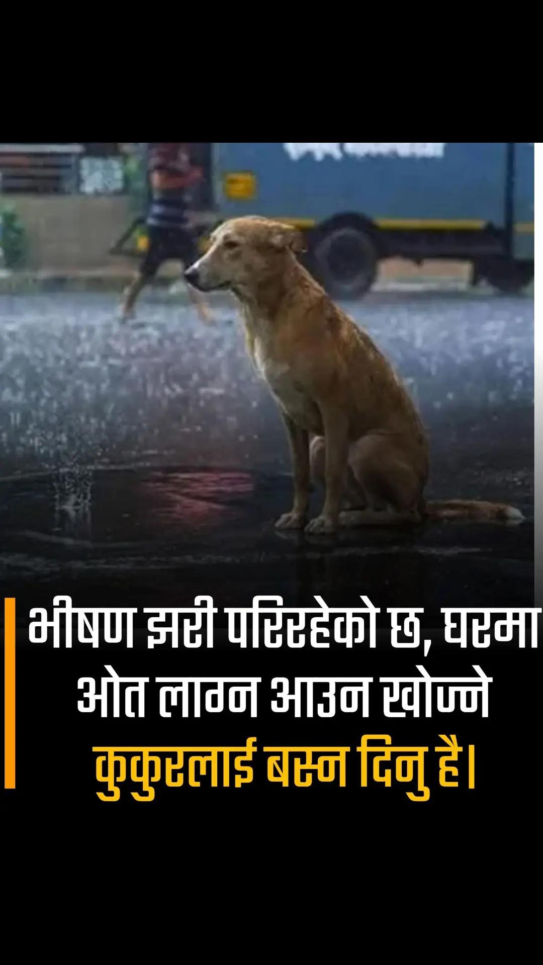 @Navin yadav