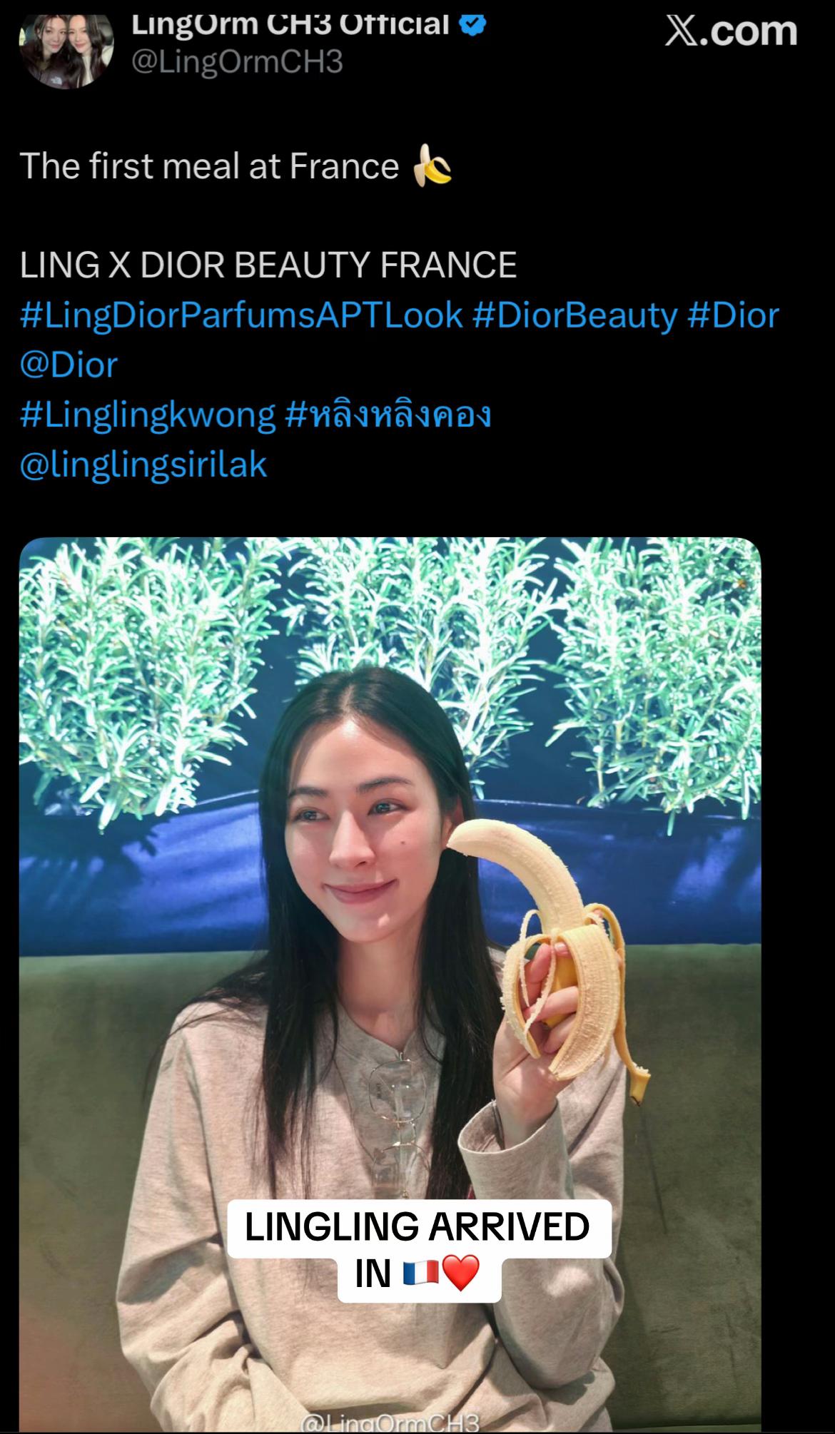@Lingorm Update