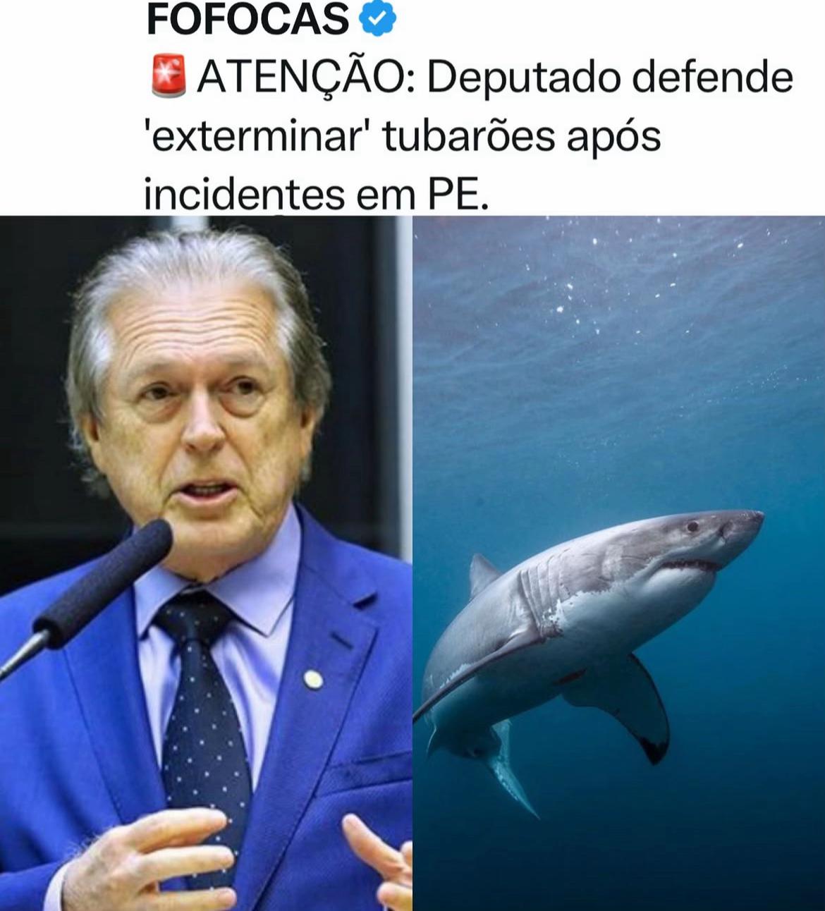 @FOFOCALIZANDO