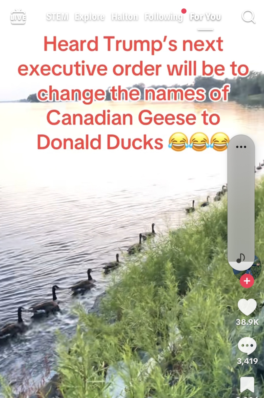@Nancy 🇨🇦