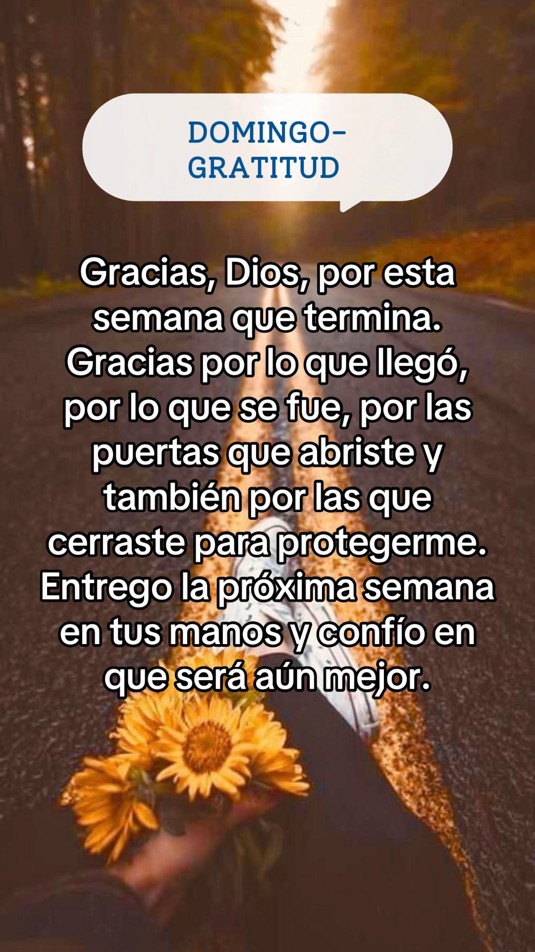 @Paragustosloscolores00
