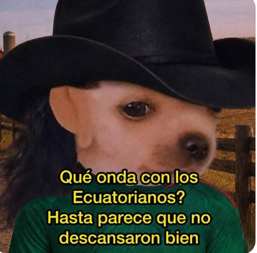 @Anna Gabriella