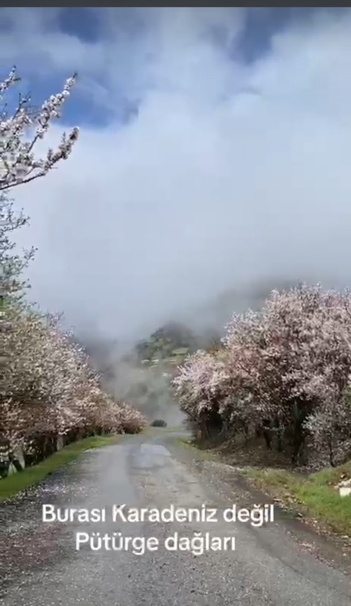 @🌼🍀