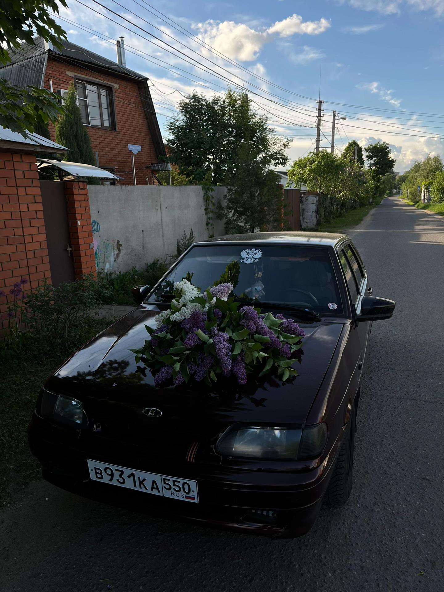 @та из шоу бв16 🤡