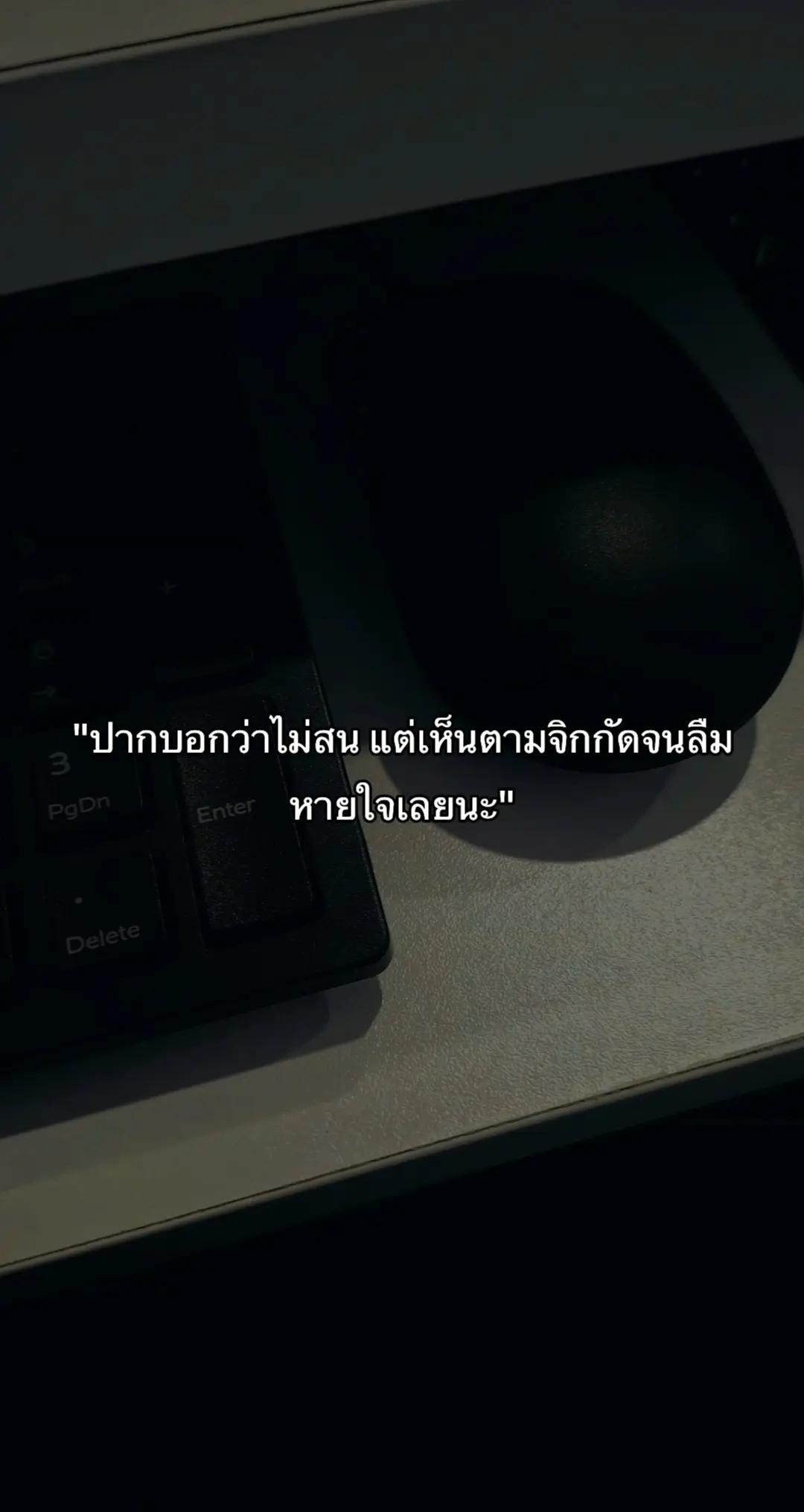 @สตอรี่'ยัยเจ้าเนื้อ≽^• ༚ • ྀི≼