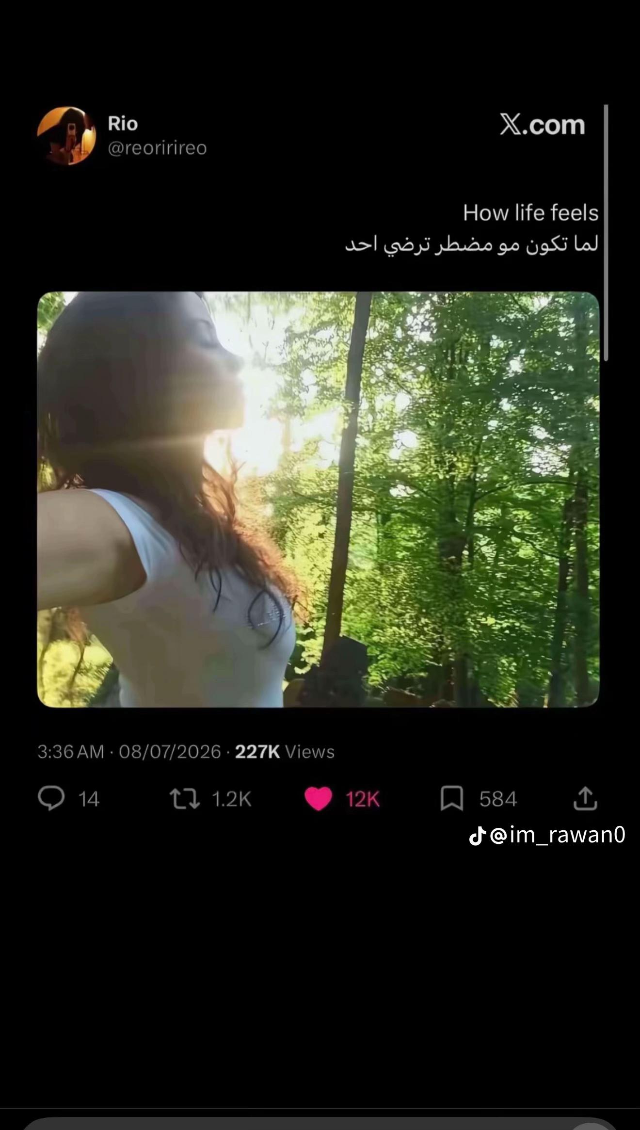 @Lily🐻🦢