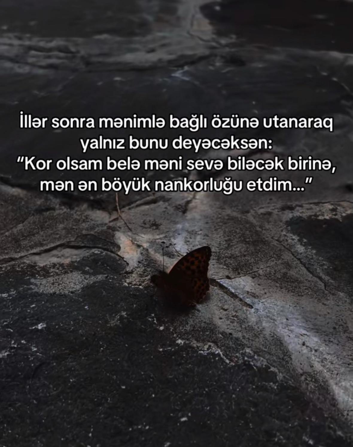 @Mənalı❤️Xanım