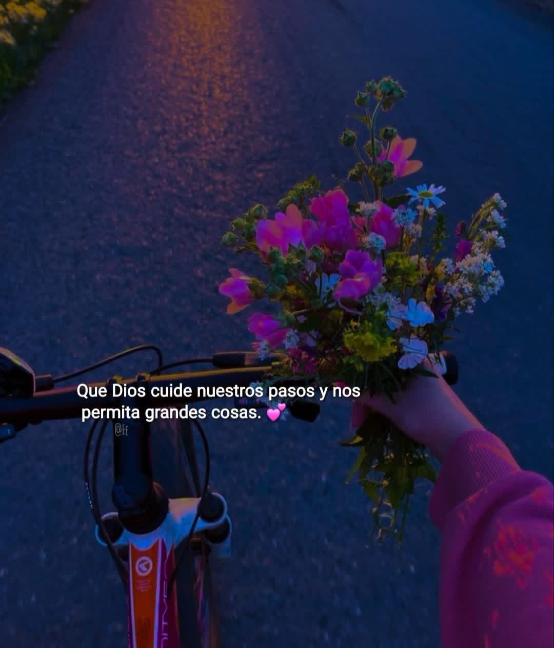 @🌷🕊️Elsy Vásquez🕊️🌷