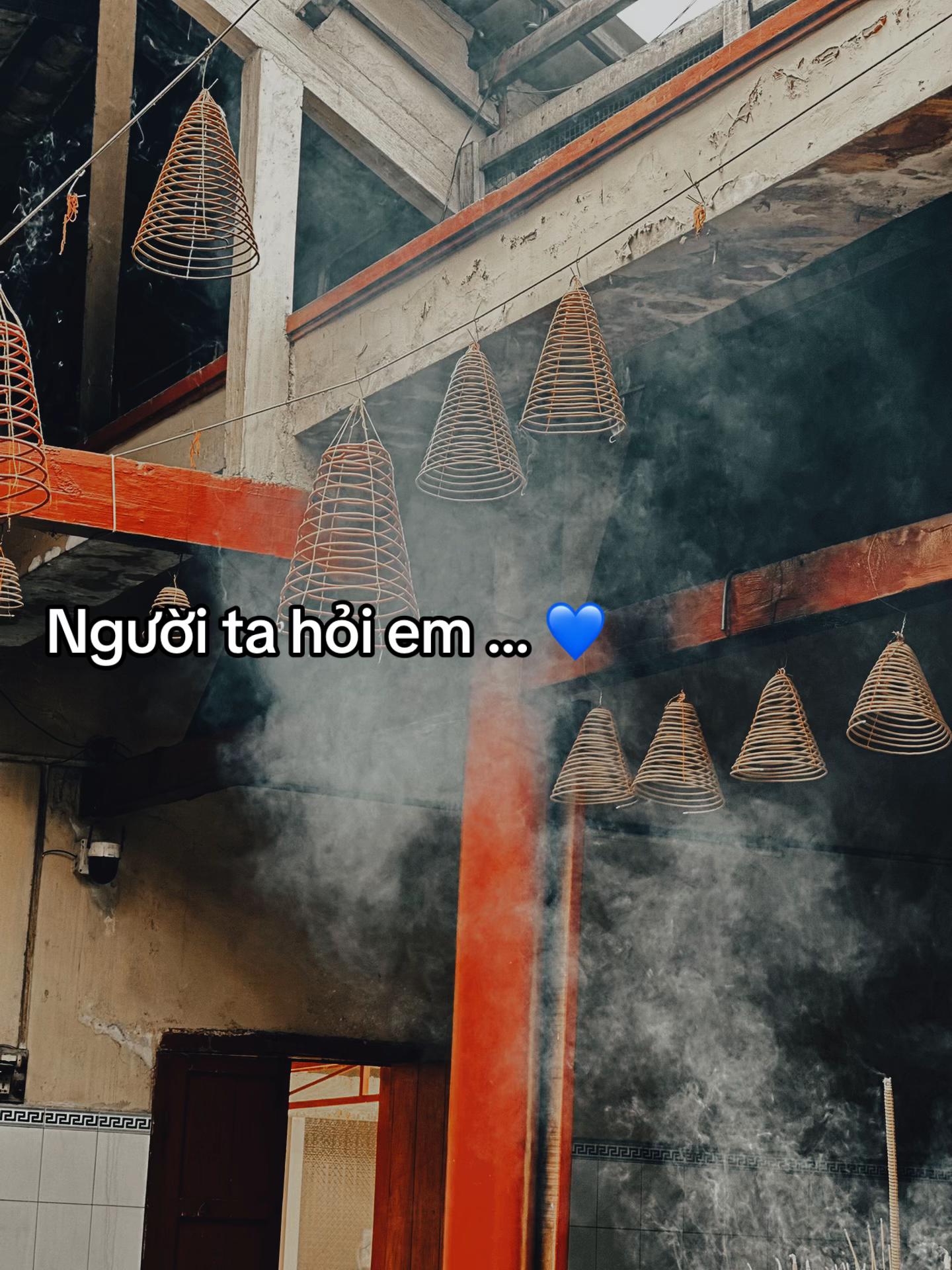 @huynhvan310