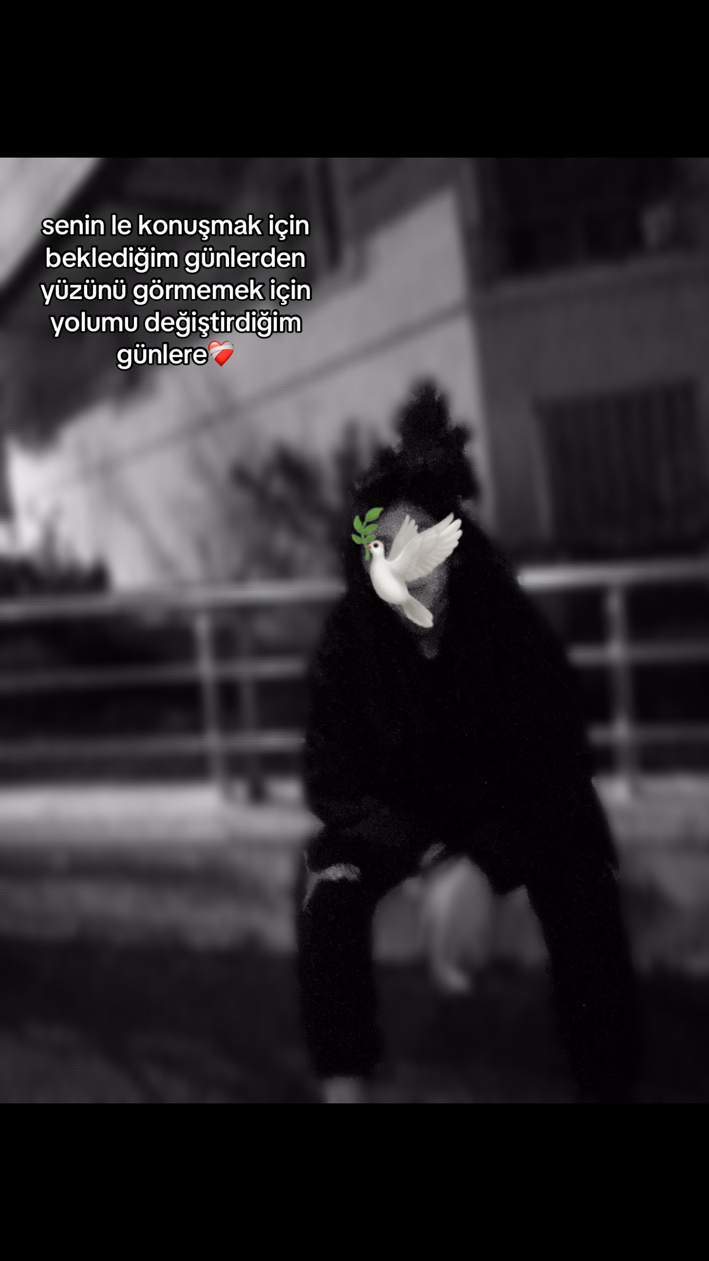 @Hasret🧸🧸